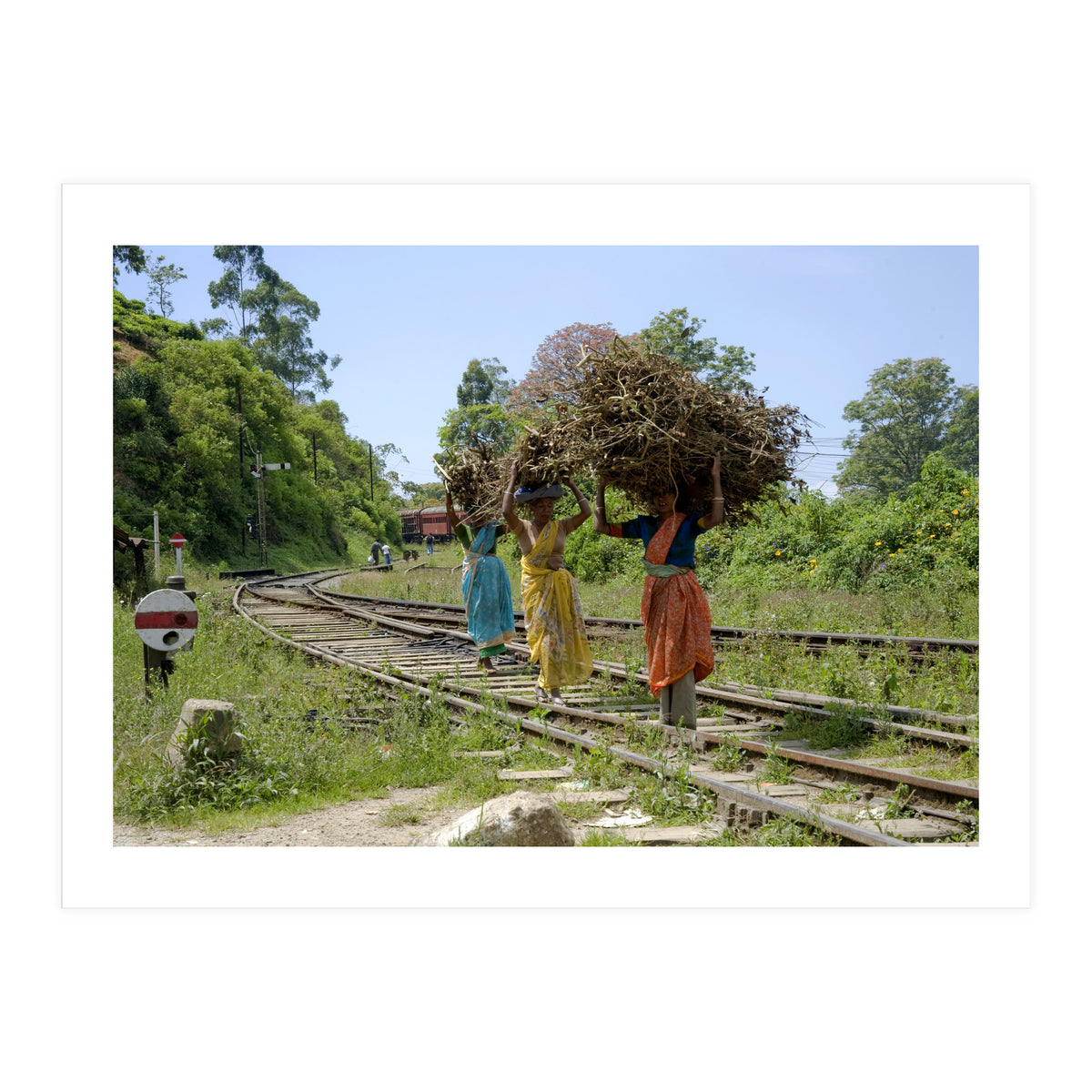 Nuwara Eliya, Sri Lanka (Print Only)