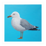 Seagull (Print Only) thumbnail