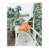 Flamingo Beach House (Print Only) thumbnail
