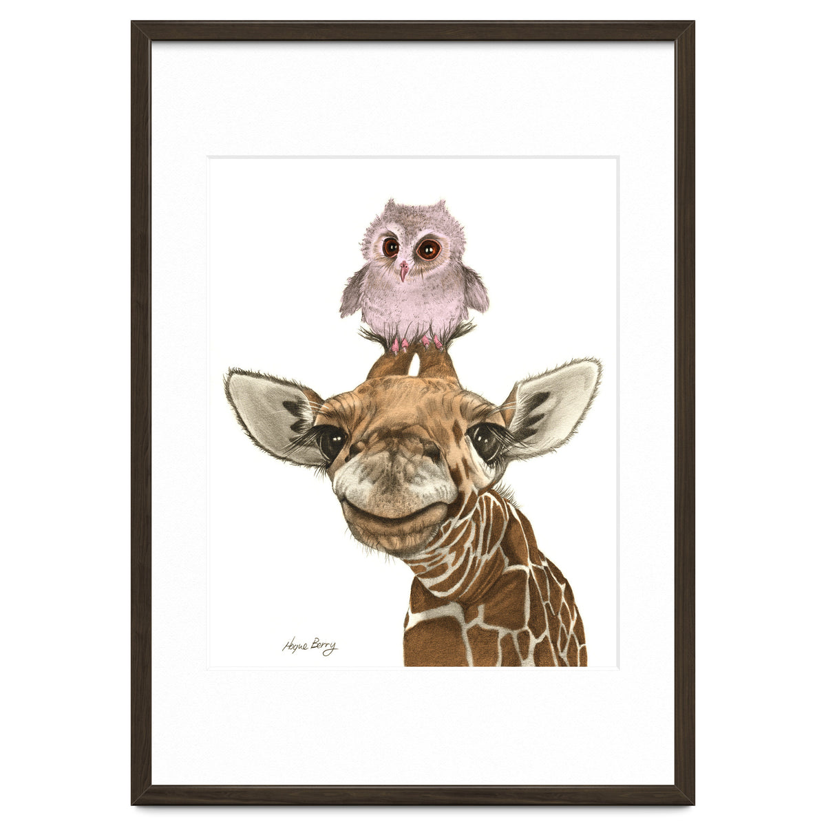Giraffe and Owl