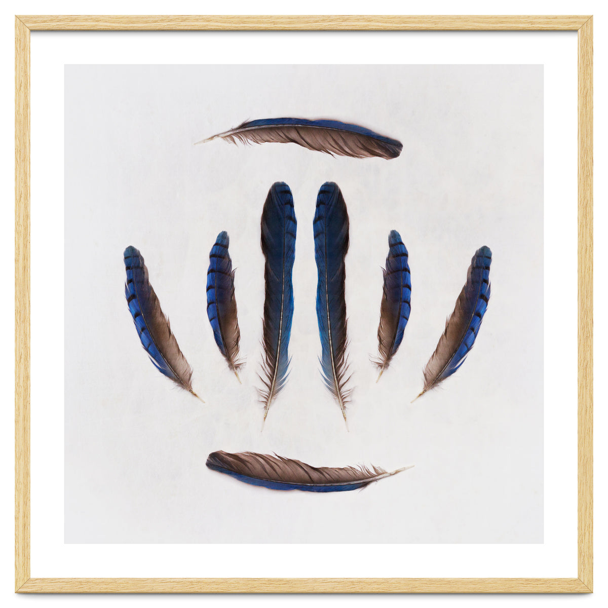 Forgive Me For Forgetting