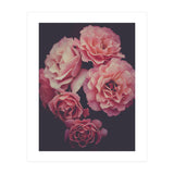 Dreamy Roses (Print Only) thumbnail