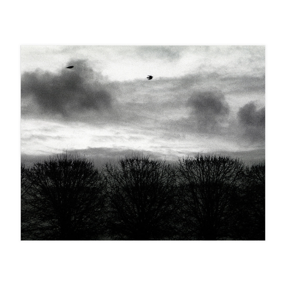 Winter mornig in Paris (Print Only)