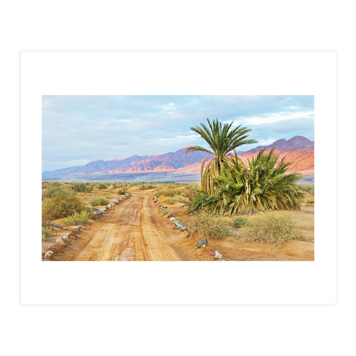 Joshua Tree (Print Only)