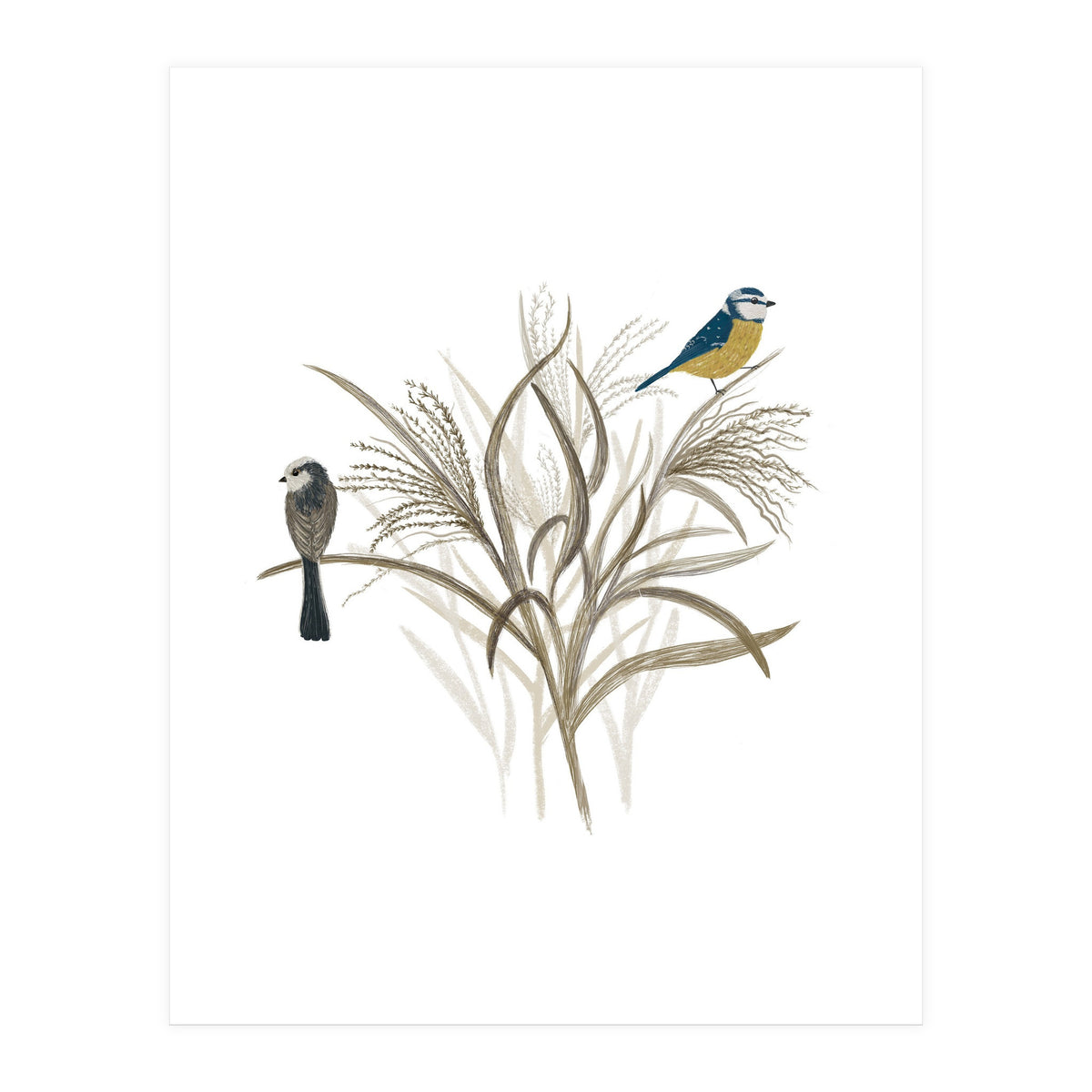 Garden Birds (Print Only)