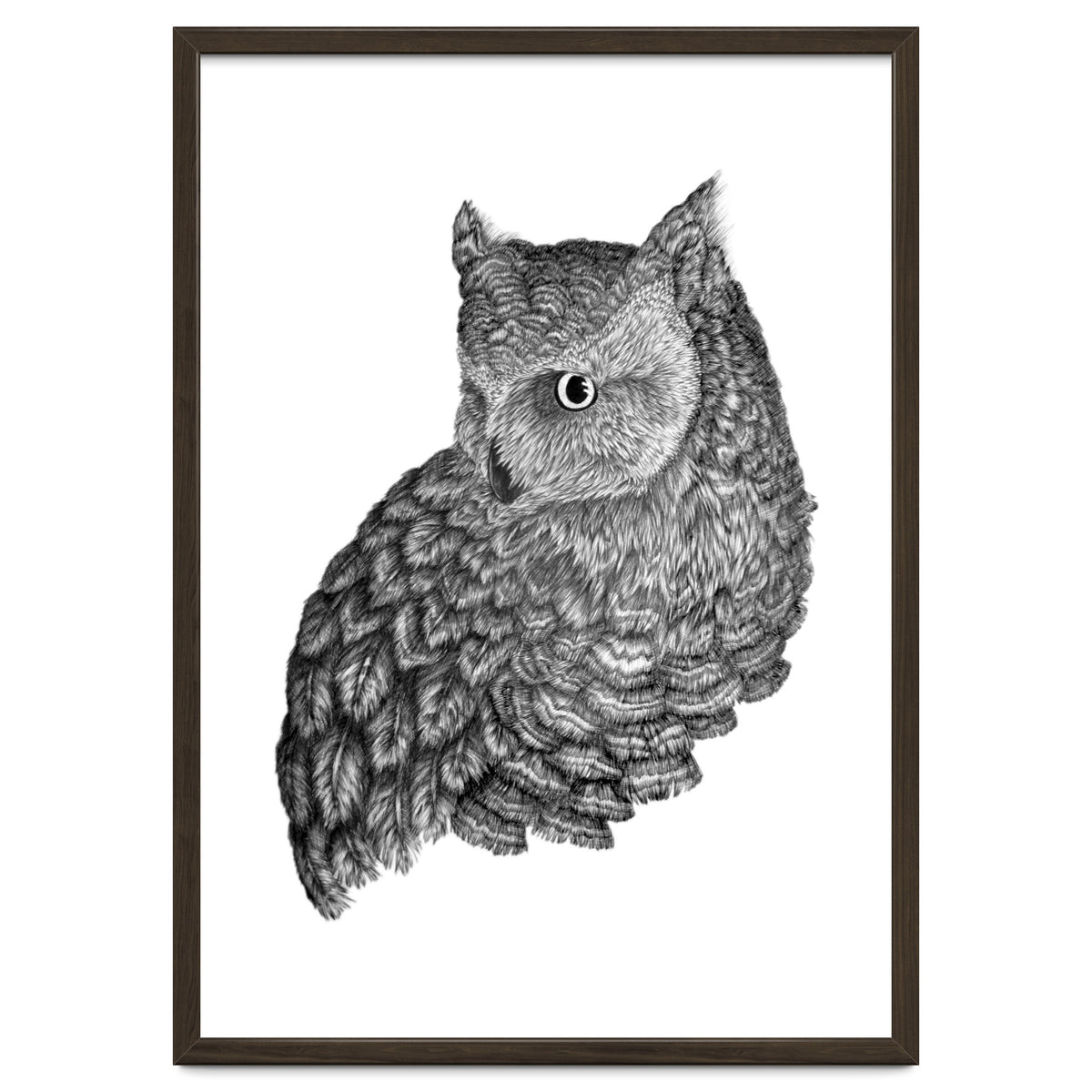 A Friend For Forsythe