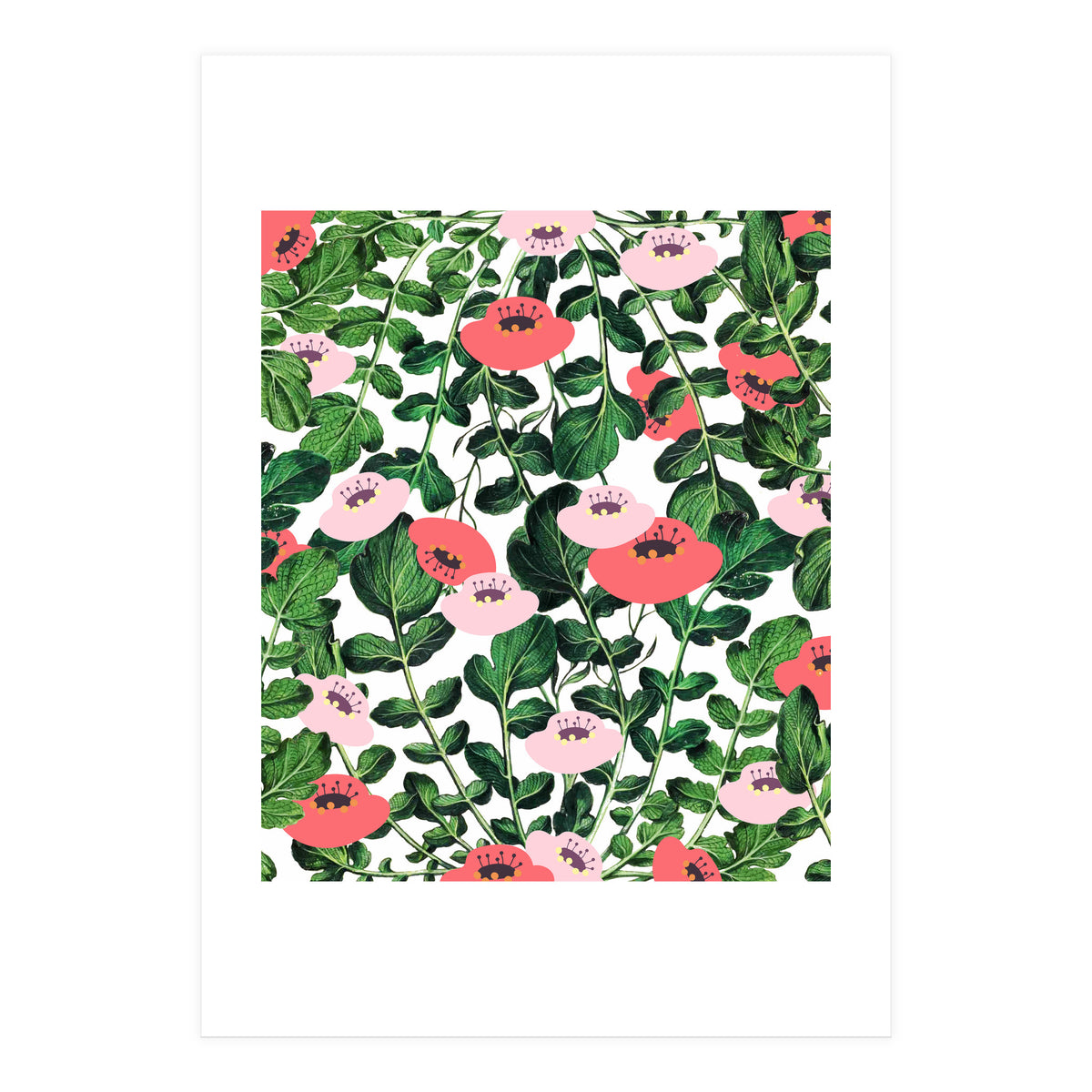 Parsnip & Poppies (Print Only)