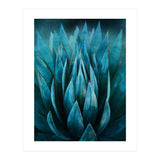 Blue Succulent (Print Only) thumbnail