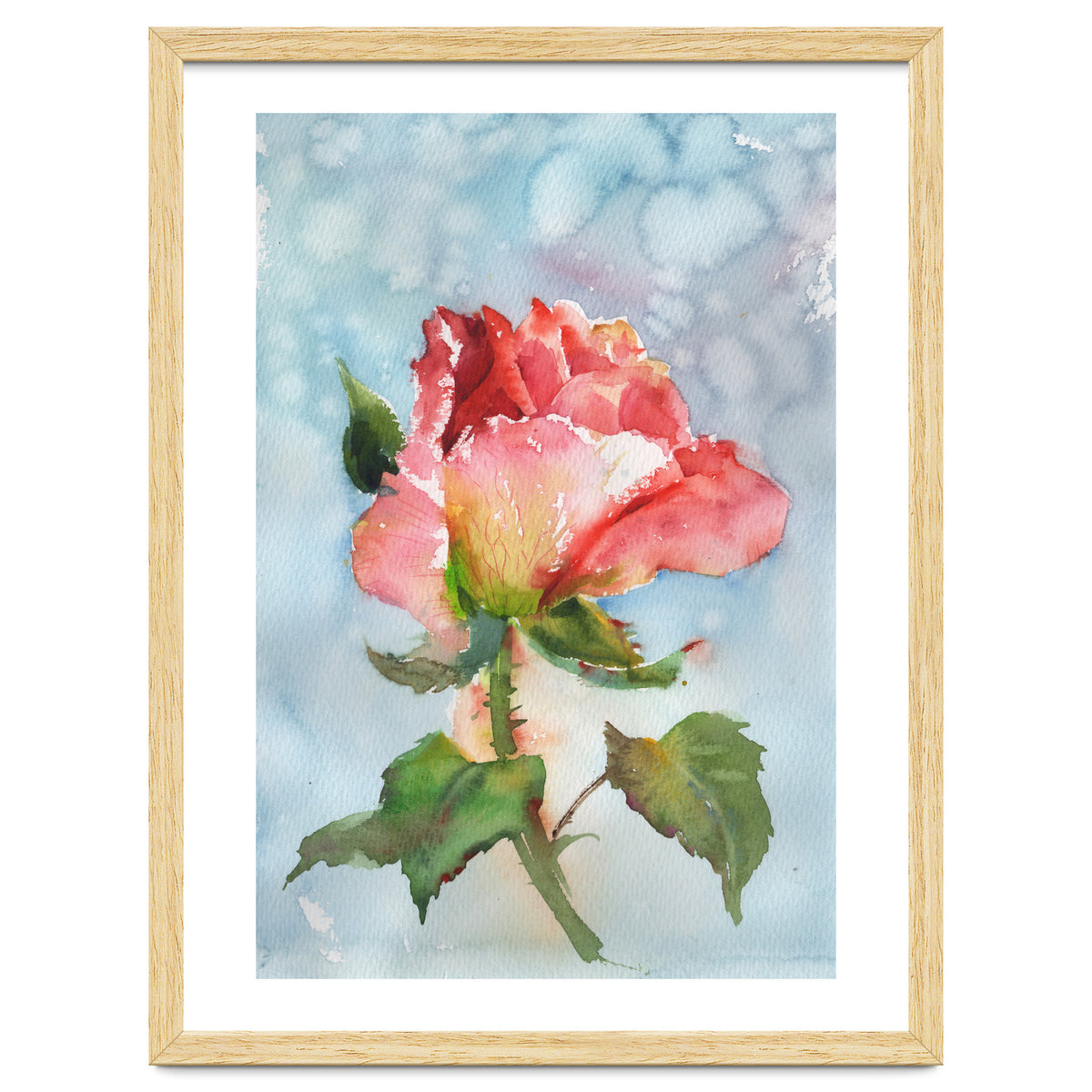Beautiful Rose Watercolor