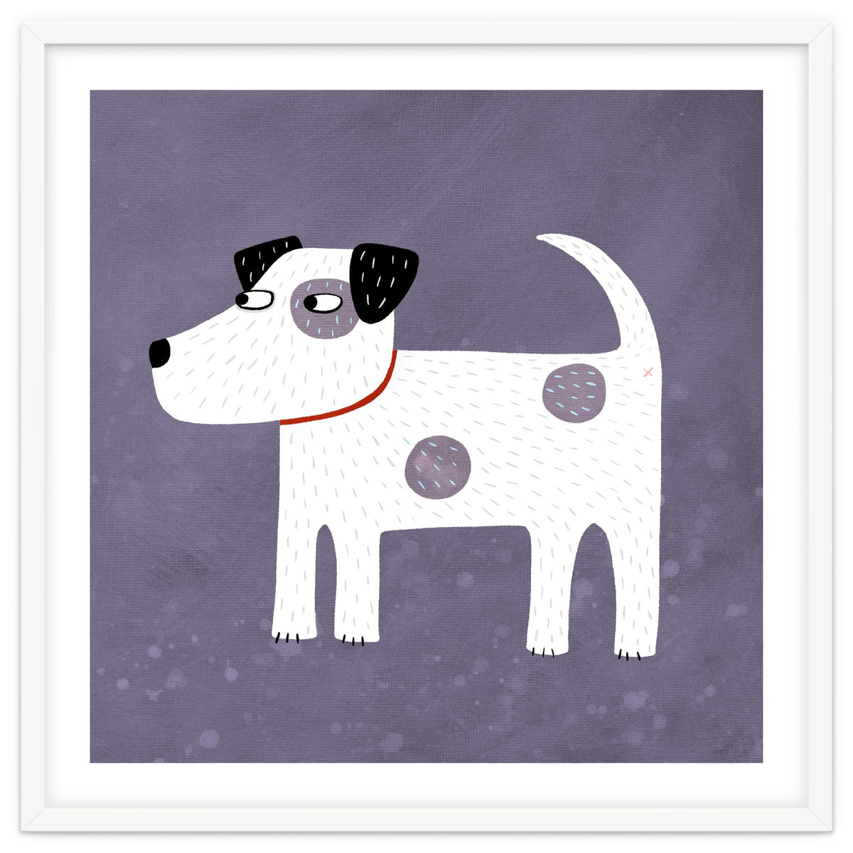 Jack Russell Terrier