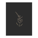 Delicate Golden Fynbos Botanicals on Black (Print Only) thumbnail