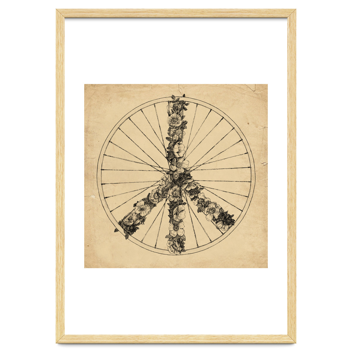 Peace And Bike Lines