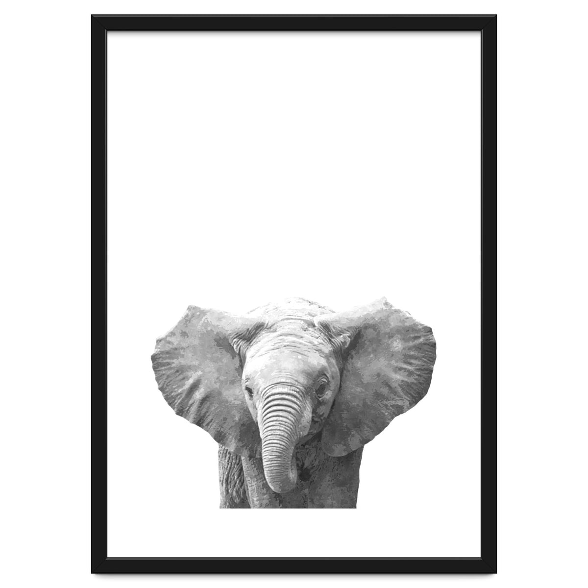 Black and White Baby Elephant