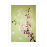 Springtime  (Print Only) thumbnail