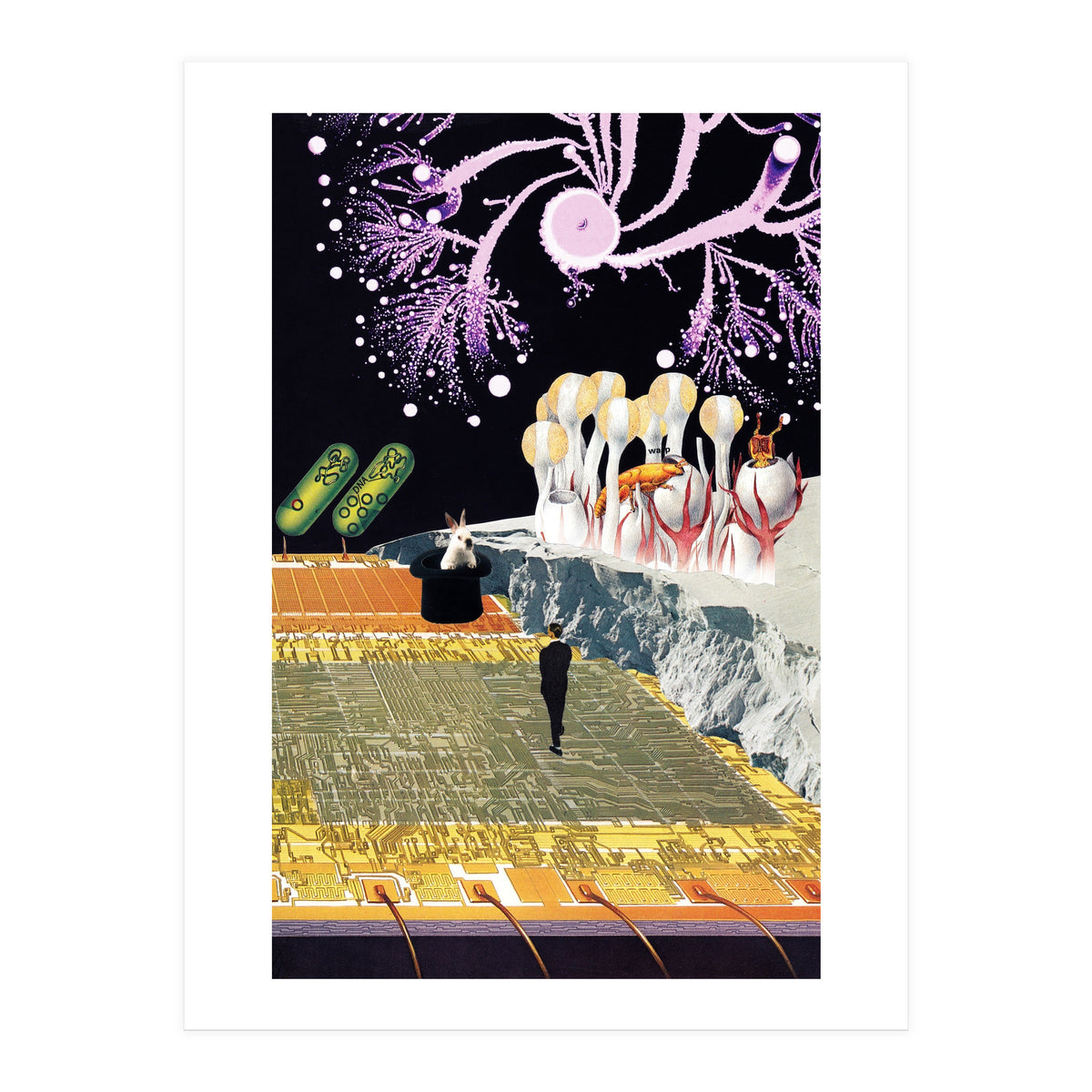 Teleport (Print Only)