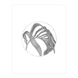 P.O. Blue Carbon (Print Only) thumbnail