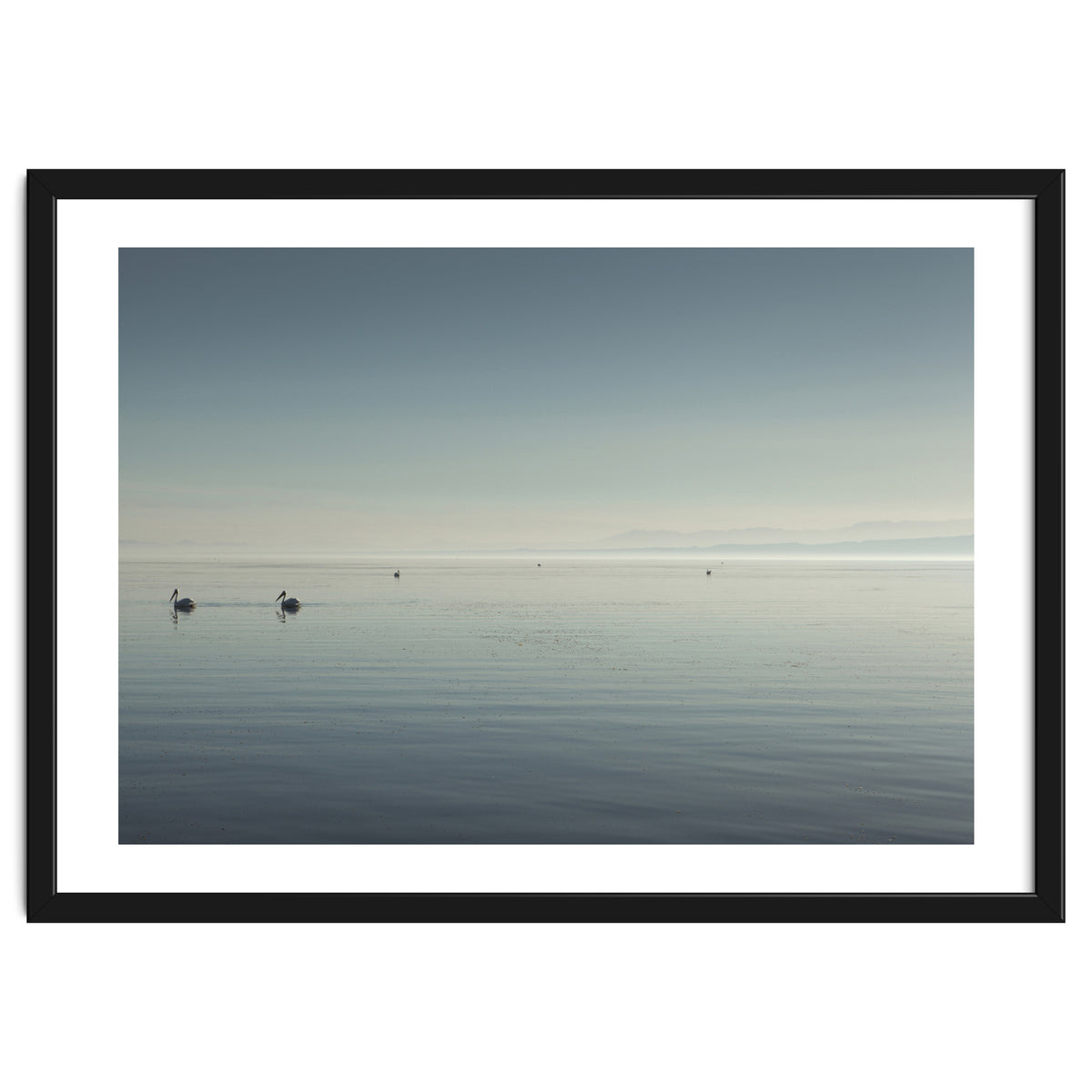 The Salton Sea
