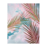 Palms + Sky (Print Only) thumbnail