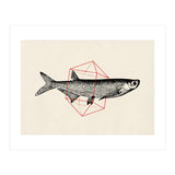 Fish In Geometrics II (Print Only) thumbnail