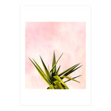 Joy Of Dreams (Print Only) thumbnail
