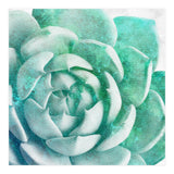 Rough Beauty 1 (Print Only) thumbnail
