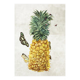 ananas (Print Only) thumbnail