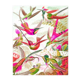 Haven (Print Only) thumbnail