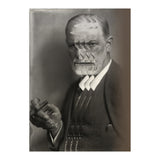 Split Freud (Print Only) thumbnail