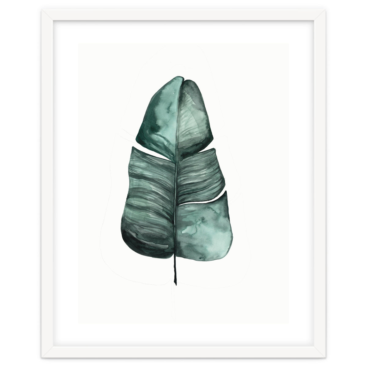 Botanical Illustration Banana Leaf