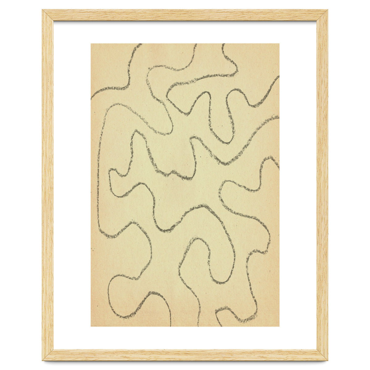 Abstract organic lines