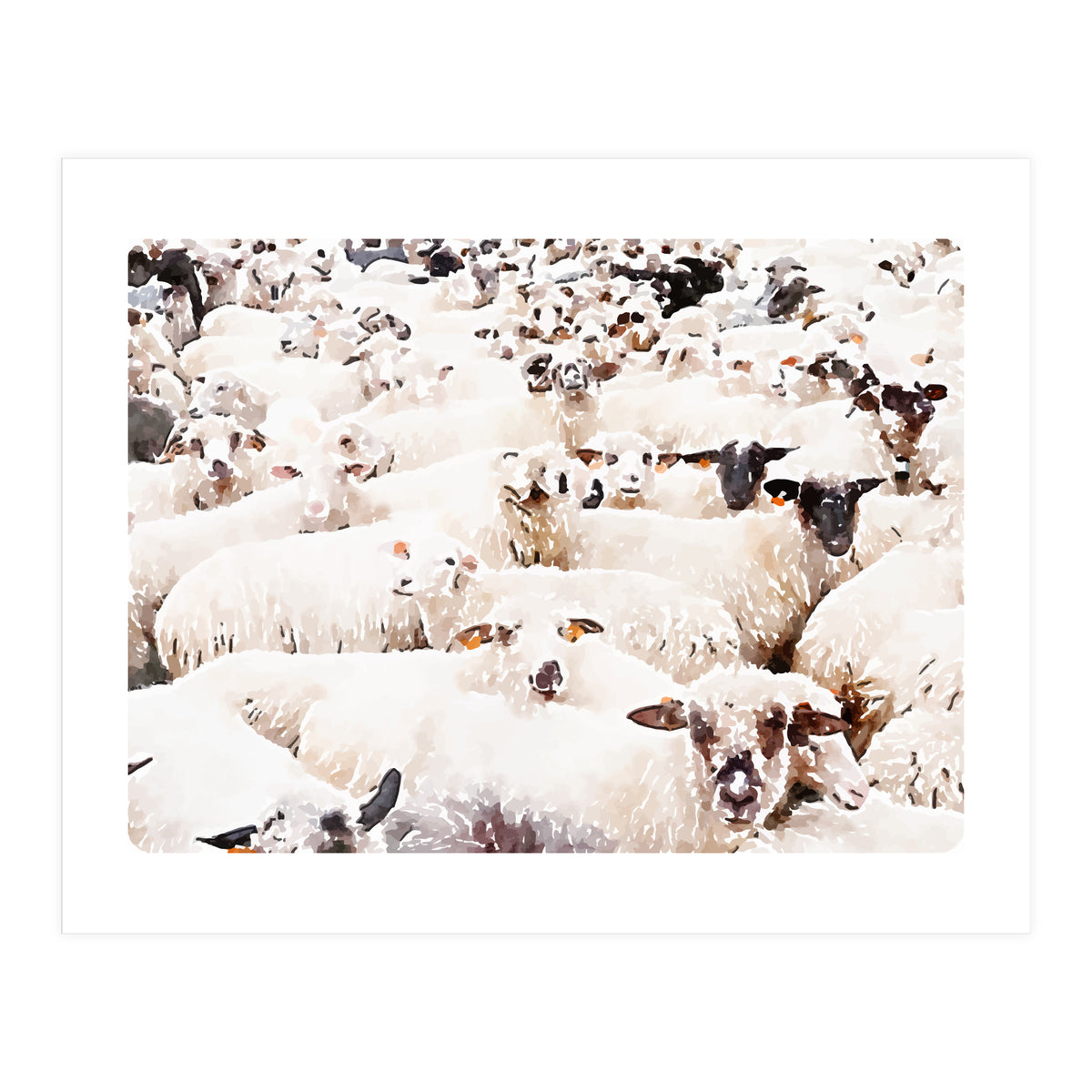 The Herd (Print Only)