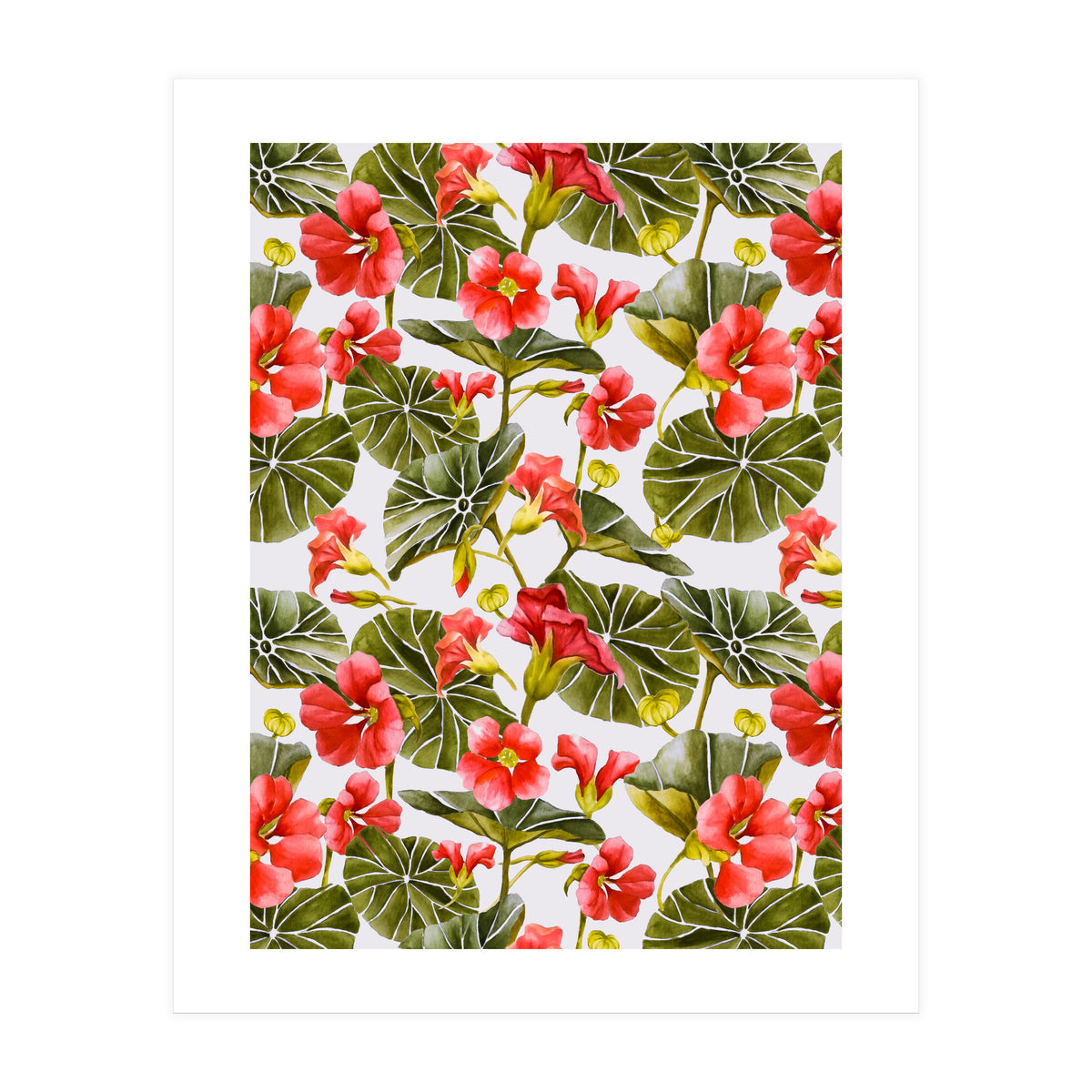Nasturtiums watercolor 02 (Print Only)