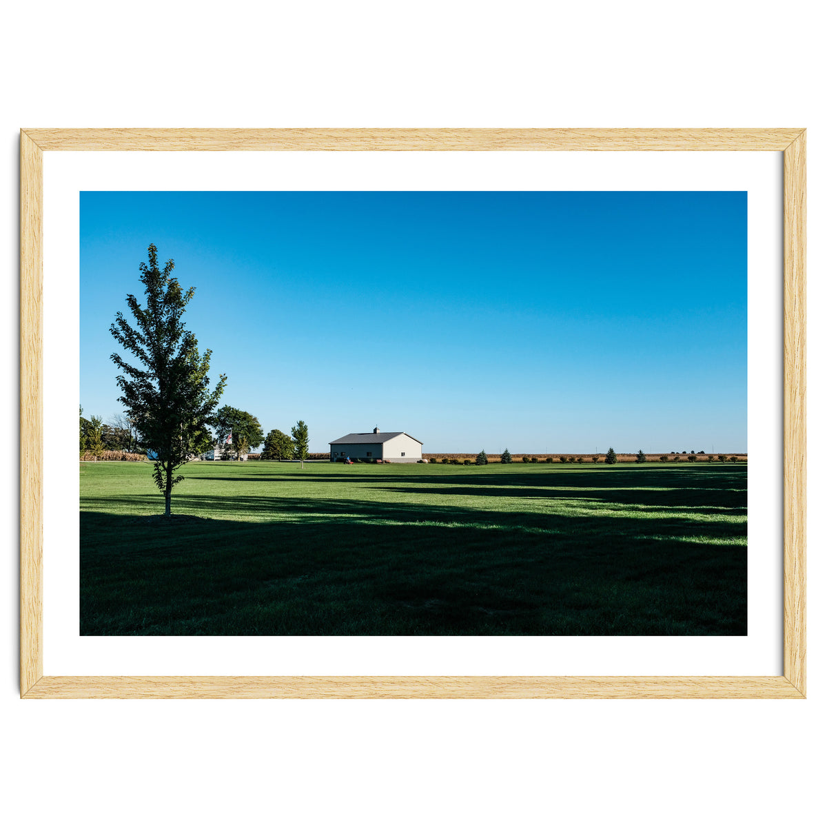 Summer evening, rural Illinois