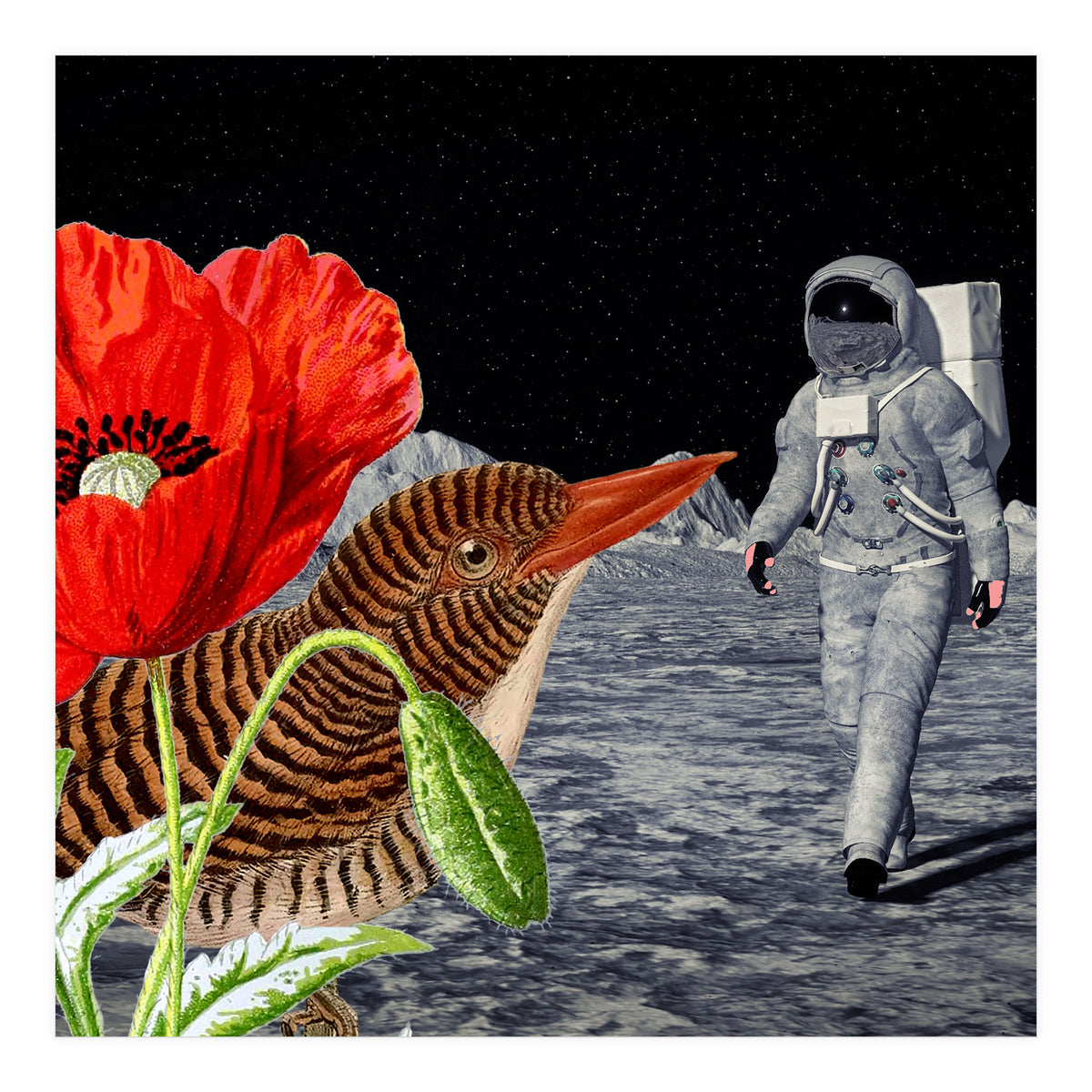 Bird On The Moon  (Print Only)