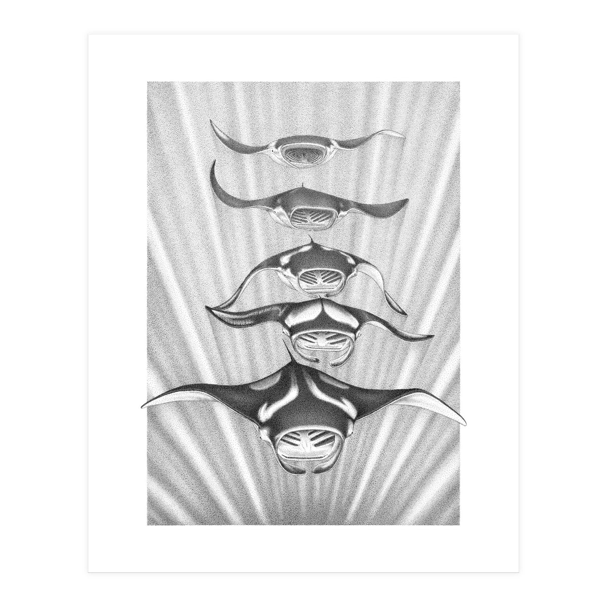 Manta Train (Print Only)