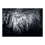 the sheep (Print Only) thumbnail