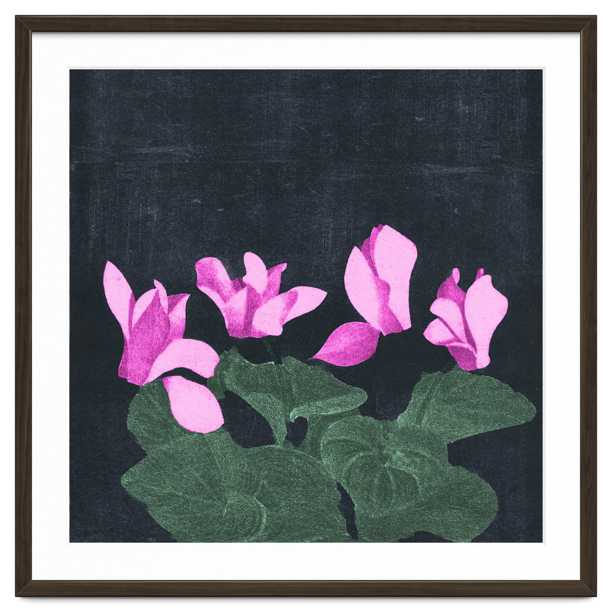 Cyclamen