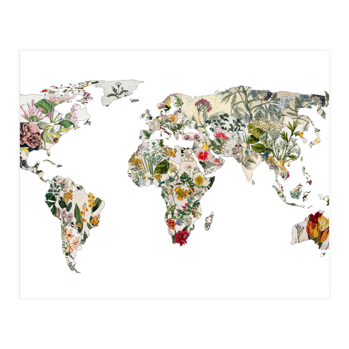 Vintage Botanical Map (Print Only)