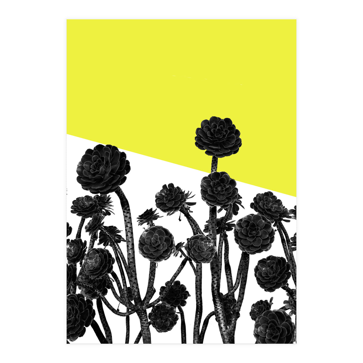 Flowers yellow (Print Only)