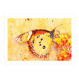Butterfly On Aclepias (Print Only) thumbnail
