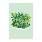 Greenhouse (Print Only) thumbnail