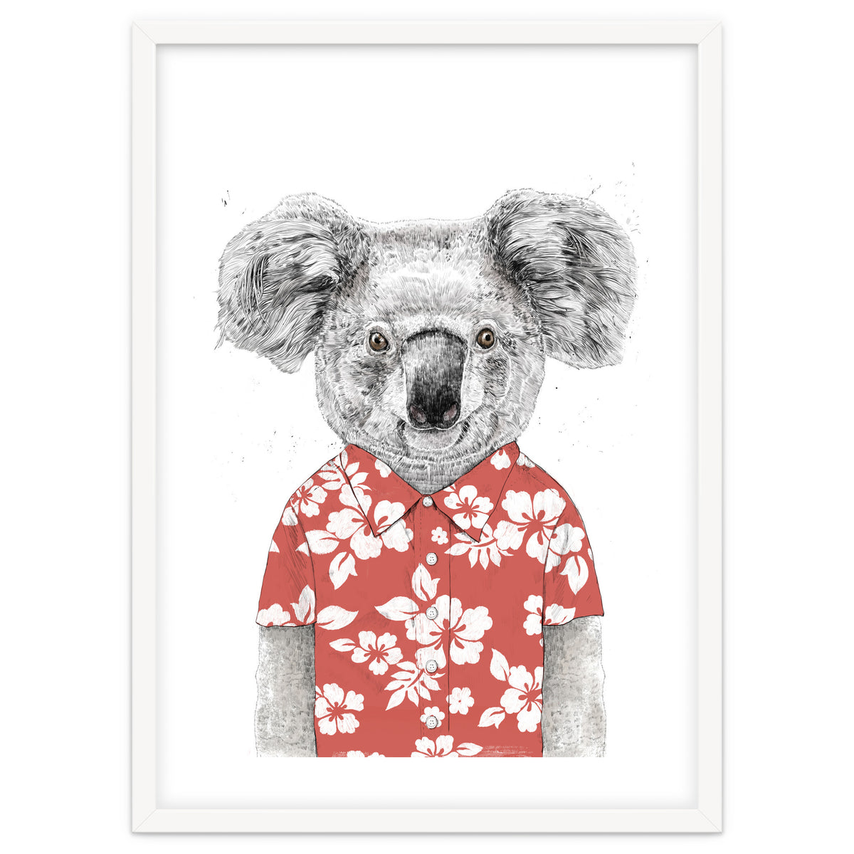 Summer Koala