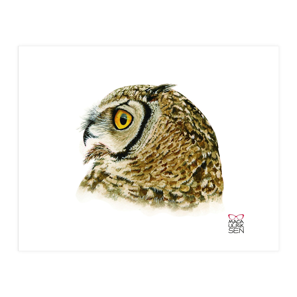 Lesser horned owl  (Print Only)