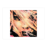BM55 (Print Only) thumbnail