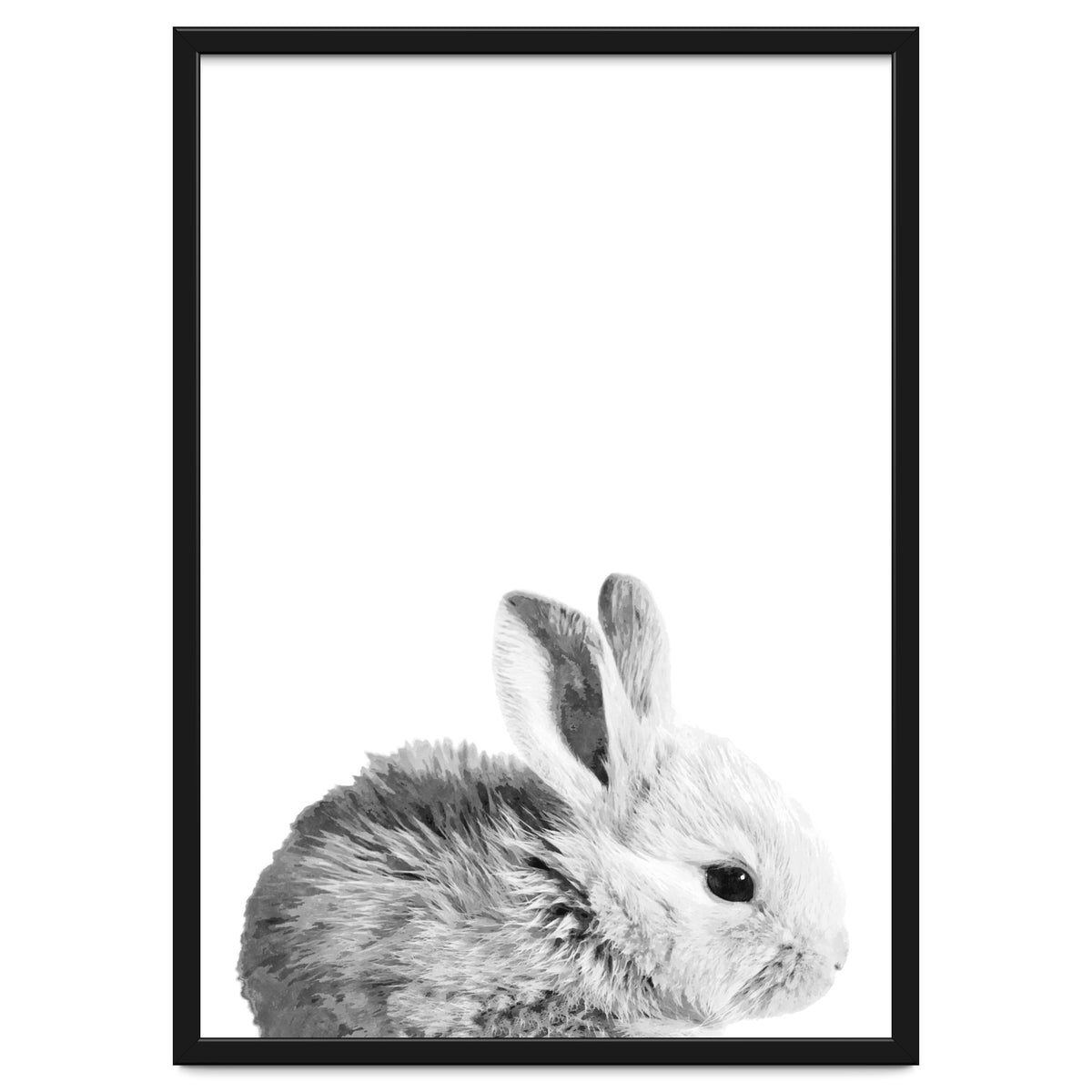 Black and White Bunny Portrait