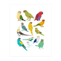 Parrotts in Glasses (Print Only)