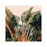 Hue (Print Only) thumbnail