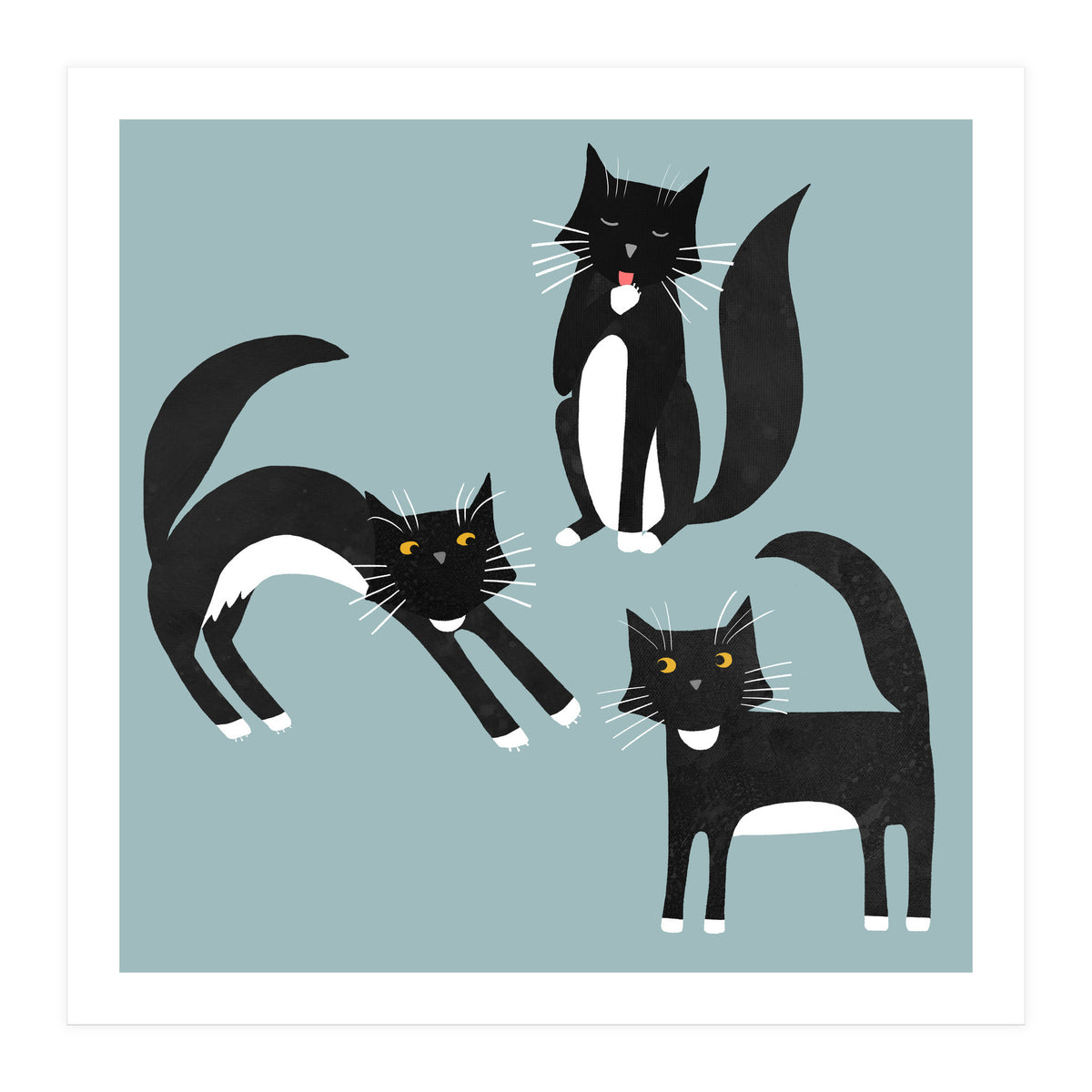 Black and White Tuxedo Cats (Print Only)