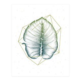Geometry And Nature II (Print Only) thumbnail