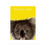 Koala Joey (Print Only) thumbnail